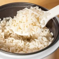 Judge Mini Rice Cooker -Kitchen Appliances Discounts 88699972 5